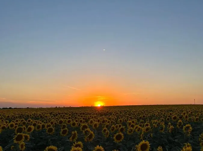 Casa Angy Dom wakacyjny *